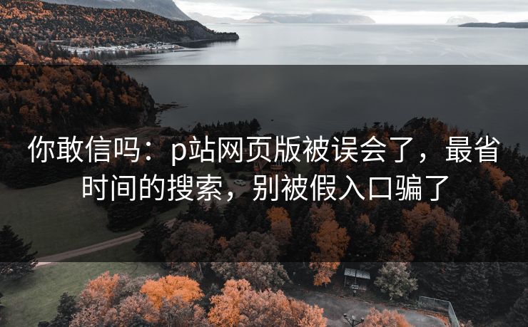 你敢信吗：p站网页版被误会了，最省时间的搜索，别被假入口骗了