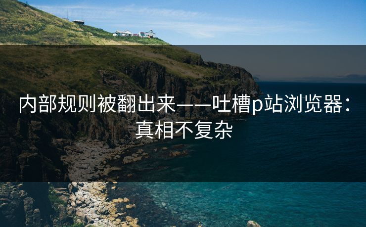 内部规则被翻出来——吐槽p站浏览器:真相不复杂 内部规则被翻出来——吐槽p站浏览器:真相不复杂