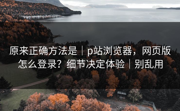原来正确方法是｜p站浏览器，网页版怎么登录？细节决定体验｜别乱用