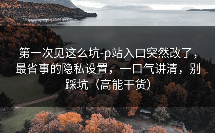第一次见这么坑-p站入口突然改了，最省事的隐私设置，一口气讲清，别踩坑（高能干货）