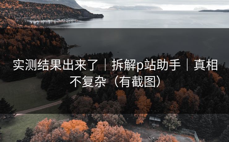 实测结果出来了｜拆解p站助手｜真相不复杂（有截图）