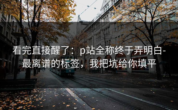 看完直接醒了：p站全称终于弄明白-最离谱的标签，我把坑给你填平