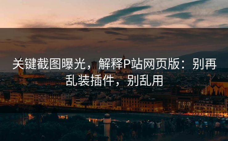 关键截图曝光，解释P站网页版：别再乱装插件，别乱用