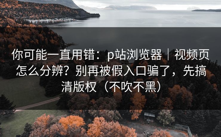你可能一直用错：p站浏览器｜视频页怎么分辨？别再被假入口骗了，先搞清版权（不吹不黑）