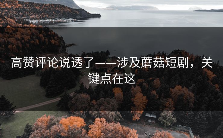 高赞评论说透了——涉及蘑菇短剧，关键点在这