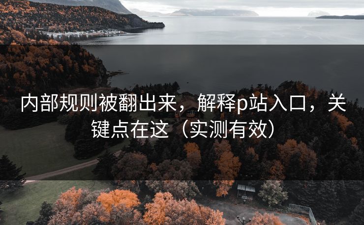 内部规则被翻出来，解释p站入口，关键点在这（实测有效）