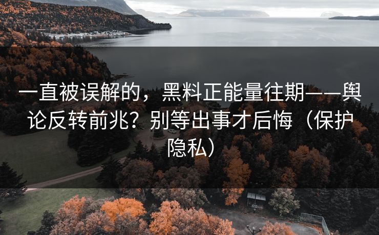 一直被误解的，黑料正能量往期——舆论反转前兆？别等出事才后悔（保护隐私）