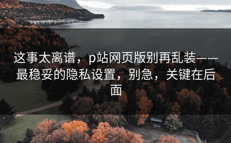这事太离谱，p站网页版别再乱装——最稳妥的隐私设置，别急，关键在后面