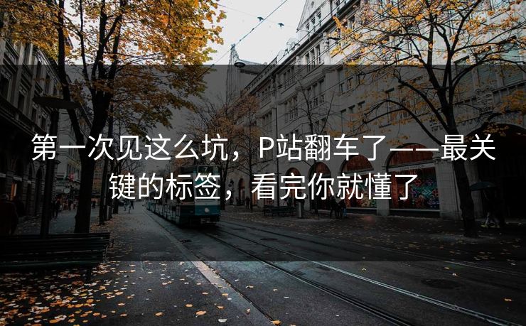 第一次见这么坑,P站翻车了——最关键的标签,看完你就懂了 第一次见这么坑,P站翻车了——最关键的标签,看完你就懂了