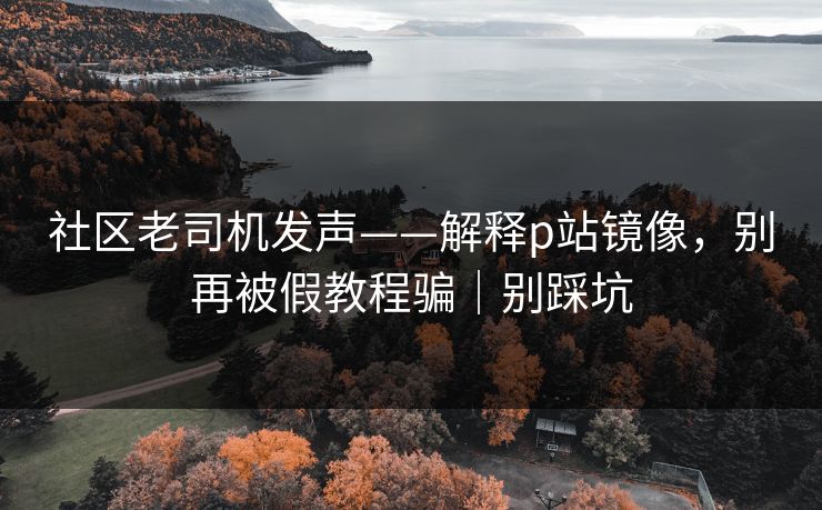 社区老司机发声——解释p站镜像,别再被假教程骗|别踩坑 社区老司机发声——解释p站镜像,别再被假教程骗|别踩坑