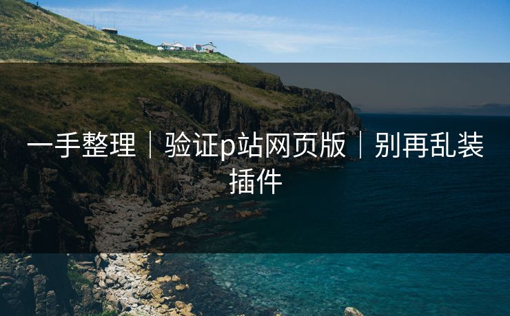一手整理｜验证p站网页版｜别再乱装插件