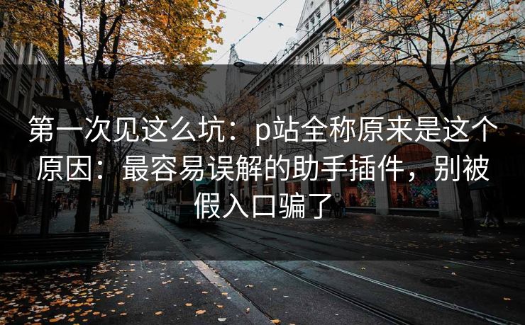 第一次见这么坑：p站全称原来是这个原因：最容易误解的助手插件，别被假入口骗了