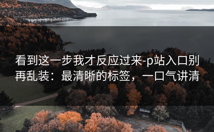 看到这一步我才反应过来-p站入口别再乱装:最清晰的标签,一口气讲清